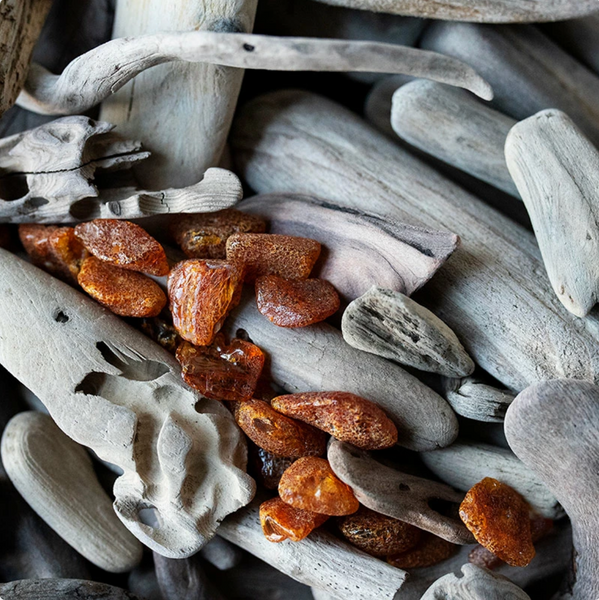 Amber & Driftwood